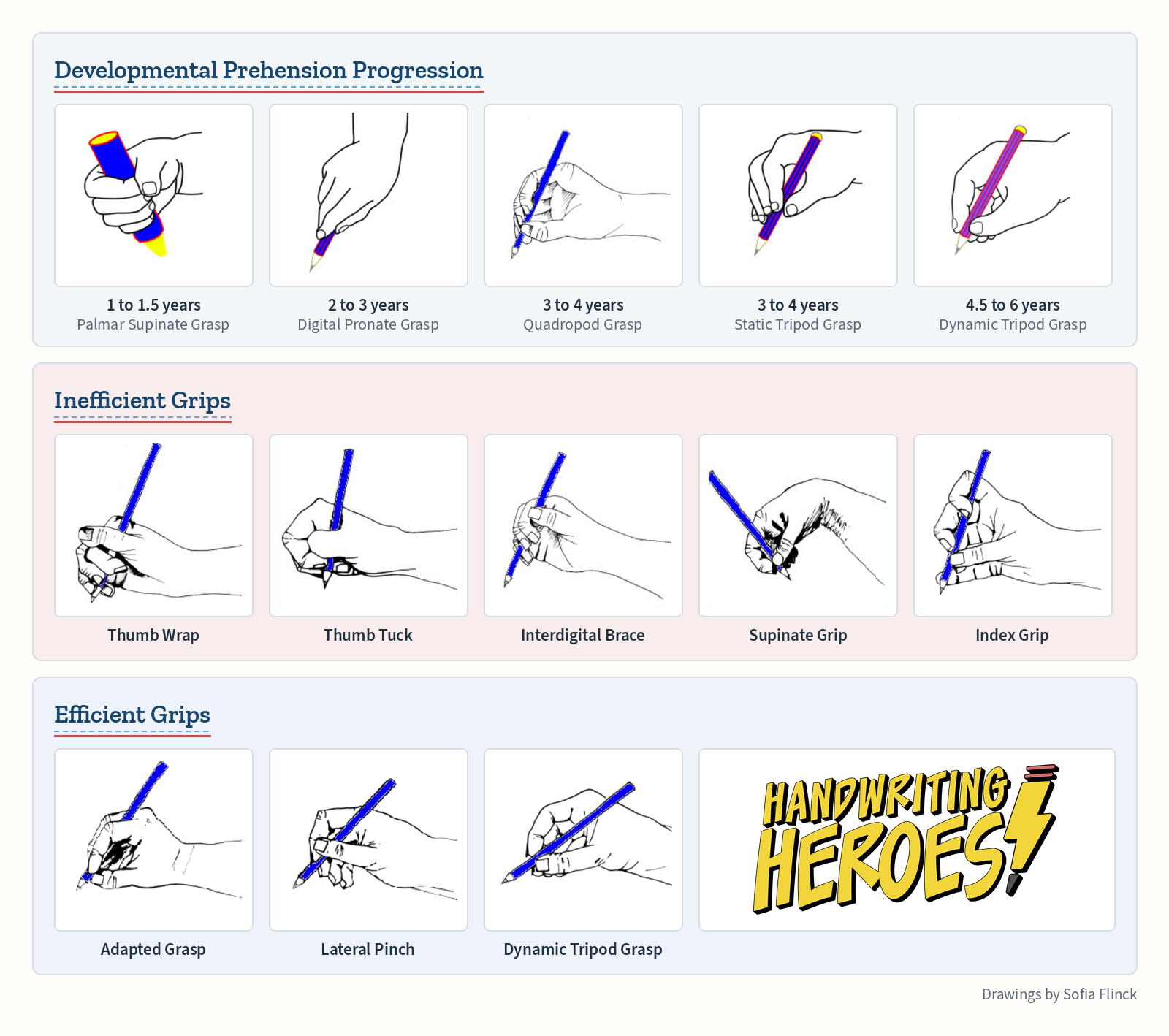 Chart of pencil grasp development and grip types. Developmental progression: palmar supinate grasp at 1 to 1.5 years, digital pronate grasp at 2 to 3 years, quadropod and static tripod grasps at 3 to 4 years, dynamic tripod grasp at 4.5 to 6 years. Inefficient grips: thumb wrap, thumb tuck, interdigital brace, supinate grip, index grip. Efficient grips: adapted grasp, lateral pinch, dynamic tripod grasp.